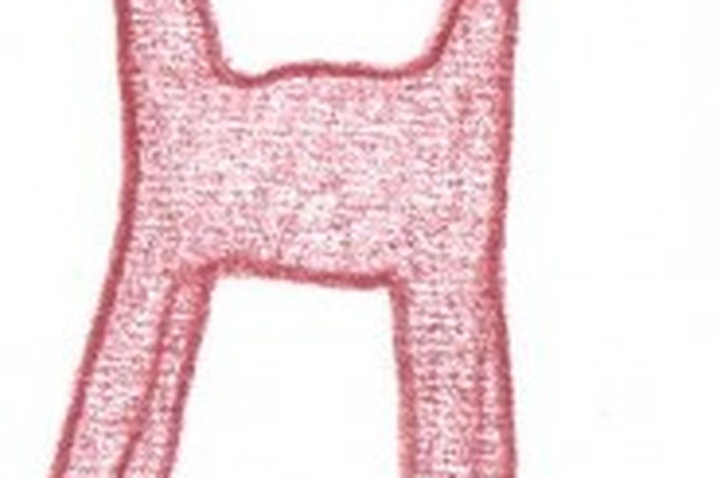 20110520083233hypsiloura-helioscopus-184x300.jpg
