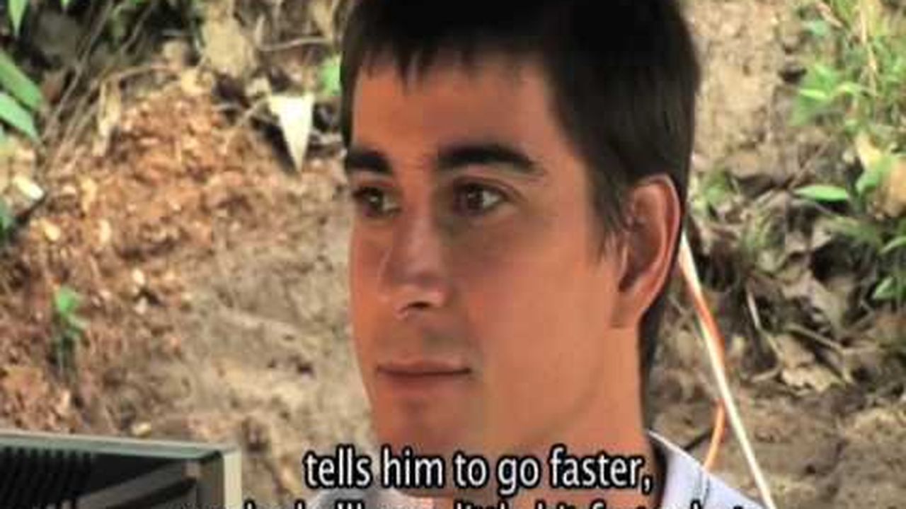 Preview thumbnail for How Fast Can an Elephant Run?