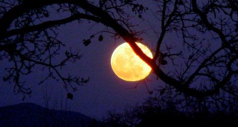 Once In A Blue Moon And Other Idioms That Don T Make Scientific Sense Science Smithsonian Magazine