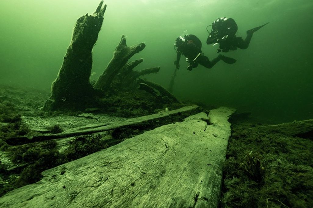 Lead Divers