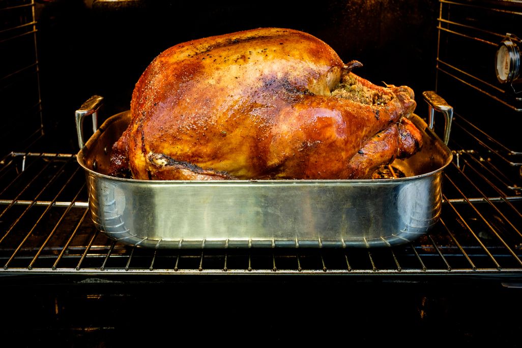 Dry turkey