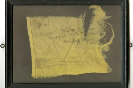 Fragment from a flag that read "'Kaiser' Wilson Banner East Gate White House Monday, August 13, 1917." The original banner read "Kaiser Wilson Have You Forgotten Your Sympathy With the Poor Germans Because They Were Not Self-Governed? 20,000,000 American Women Are Not Self-Governed. Take the Beam Out of Your Own Eye"