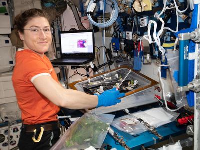 NASA astronaut Christina Koch conducts botany research aboard the International Space Station, where she’s been living and working since March 14, 2019. Her mission has been extended, and she will remain at the station until February 2020.