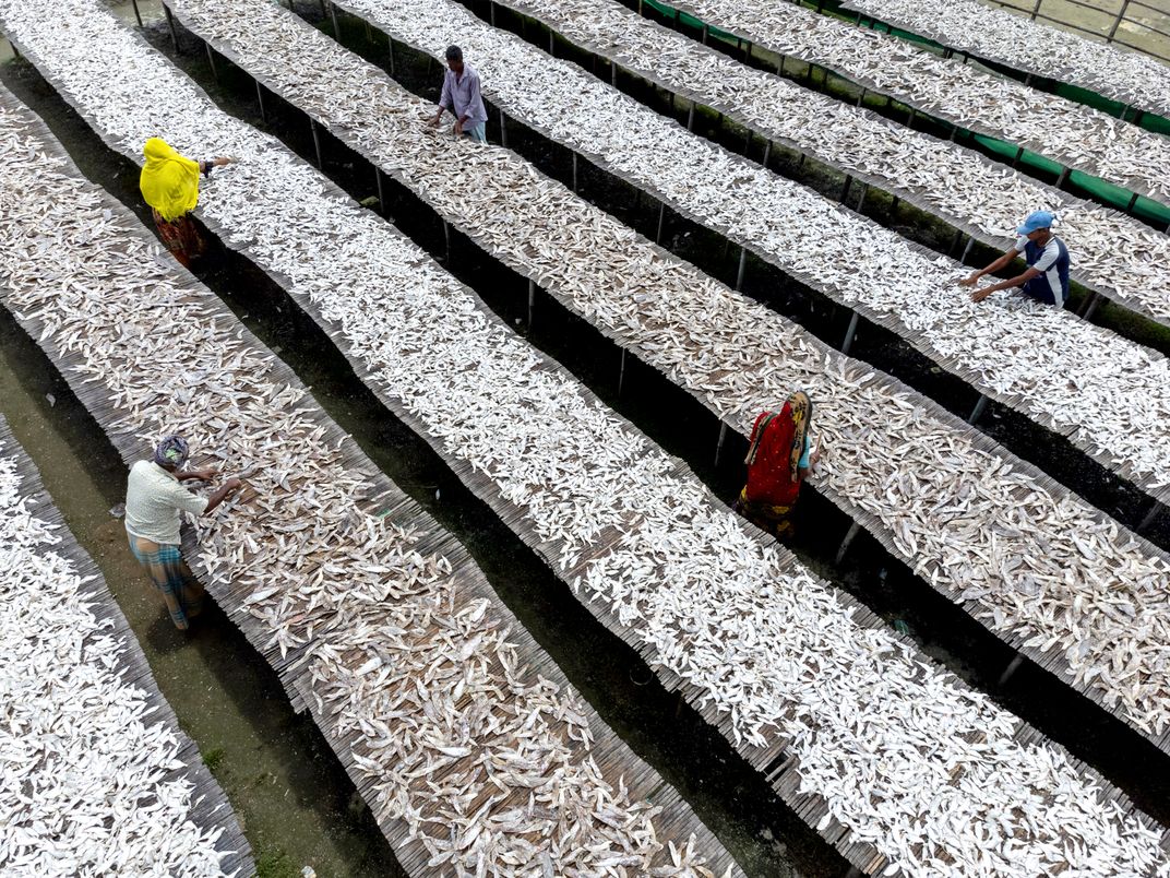Dry Fish Business Smithsonian Photo Contest Smithsonian Magazine