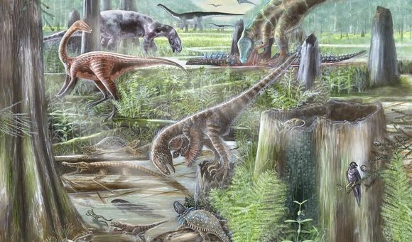The Evolution of Terrestrial Ecosystems working group combines expertise from paleontologists and ecologists to improve our understanding of ancient and modern ecosystems. (Mary Parrish, Smithsonian)