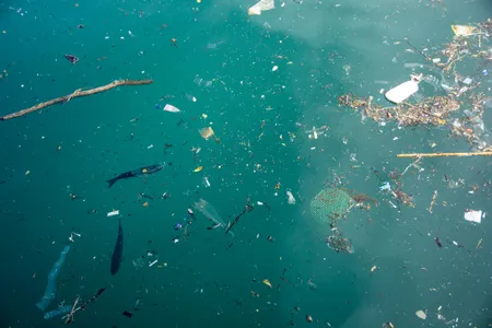 Could this innovation provide a solution to one of our era&rsquo;s biggest scourges?