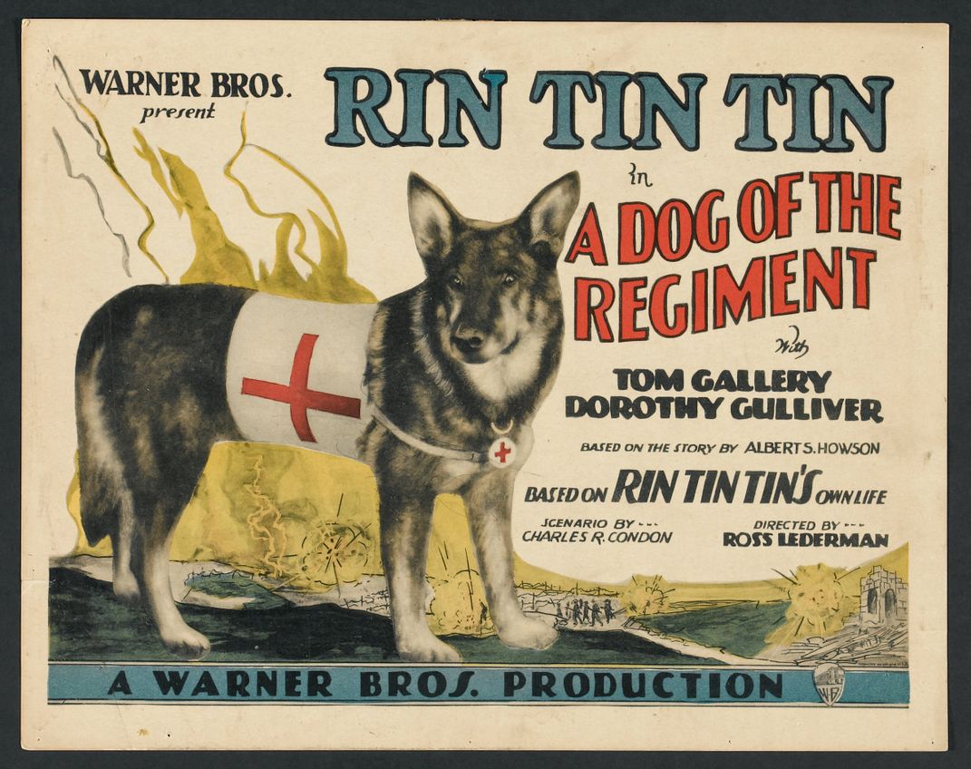 A promotional poster featuring Rin Tin Tin, a fellow German shepherd who found fame in Hollywood