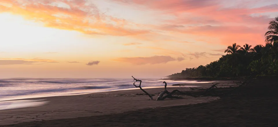  Tortuguero Beach Credit:  Etienne Delorieux