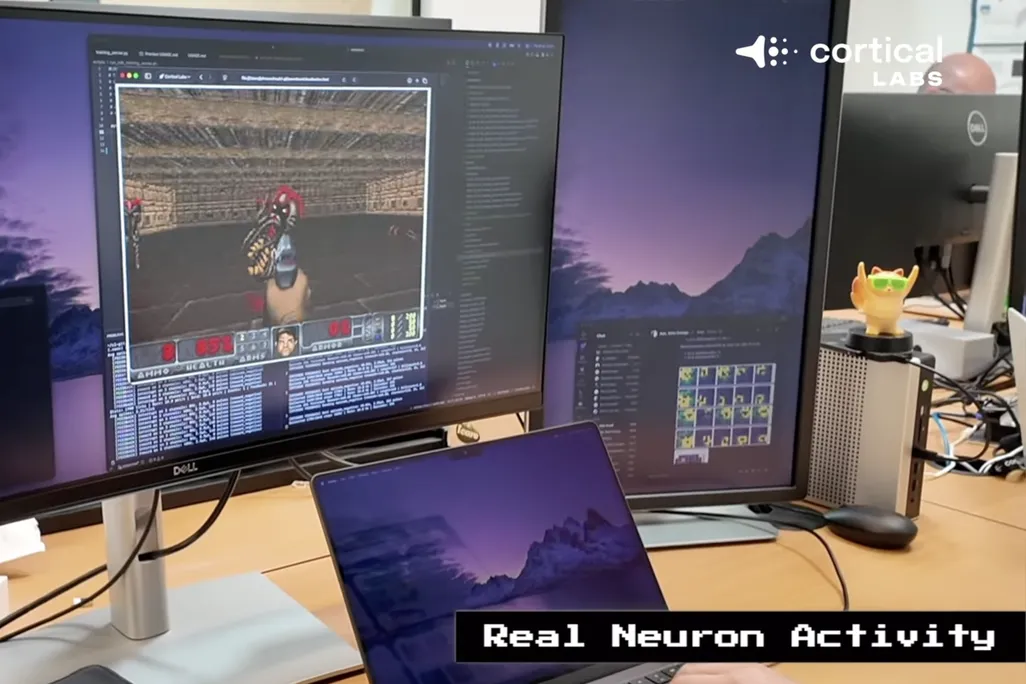 multiple computer screens on a desk
