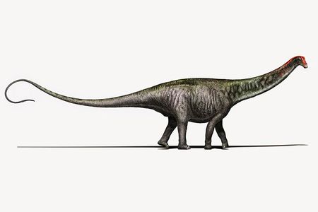 Welcome back, Brontosaurus?