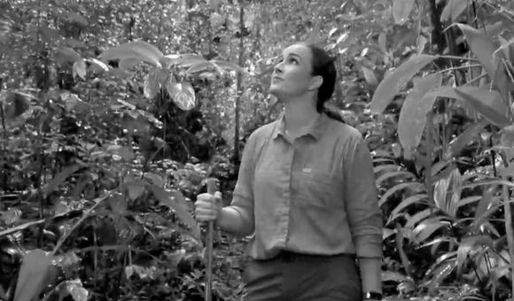 Happy Earth Day 2021! Hillary Hughes, Panamanian actress, visits the Smithsonian Tropical Research Institute's Agua Salud Project during the filming of videos in Spanish and English to share hope for the success of tropical forest reforestation informed by the largest experiment of its kind in the tropics. (video still)