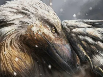An artist&#39;s rendering of a feathered dinosuar in the snow. Feathers would have allowed dinosaurs, ancestors of birds, to trap their body heat in cold climates.