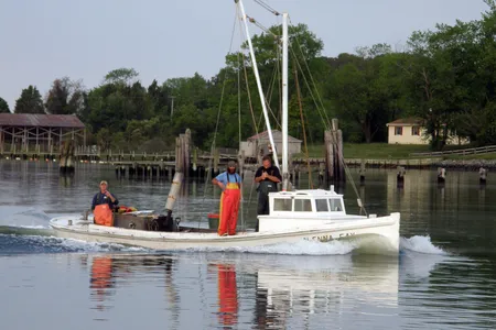 In 2018, the Chesapeake Bay Foundation published its midpoint assessment of the on-going restoration efforts for the country's largest estuary.