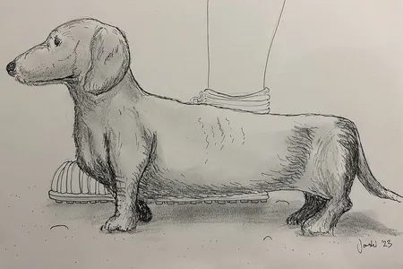 An illustration of the small dog found at a Roman villa in Oxfordshire, England