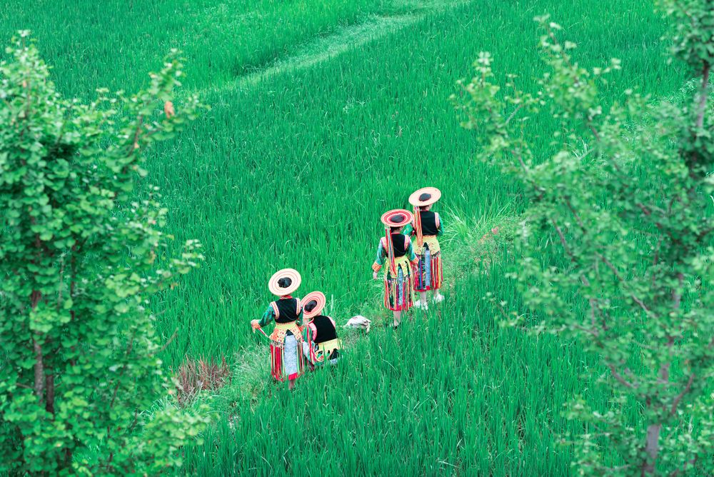 This is a woman from a Miao tribe in China, dressed in beautiful ethnic costumes, like musical notes on a green earth.