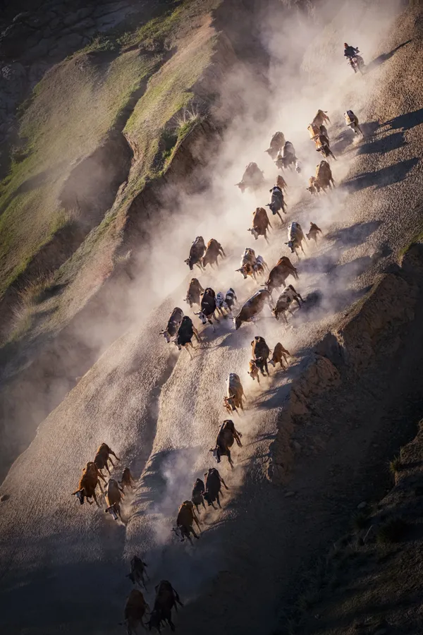 The seasonal migration thumbnail