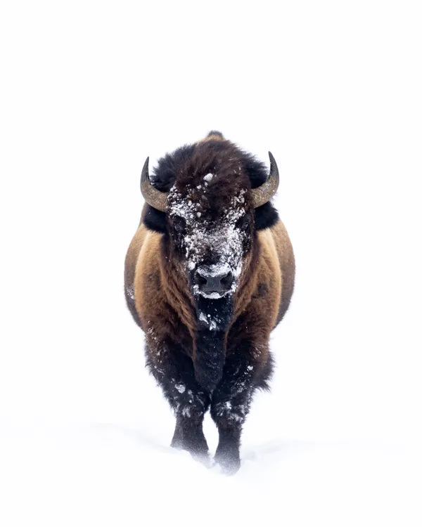 Weathering The Storm thumbnail