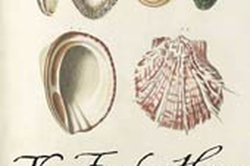 20110520083221fossil-hunter-emling.jpg