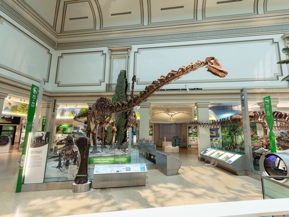 NMNH-2019-00508.jpg