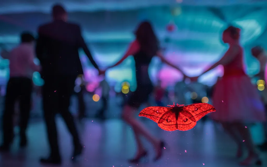 a moth appears to be floating and tinted red, as people behind it dance in a circle holding hands
