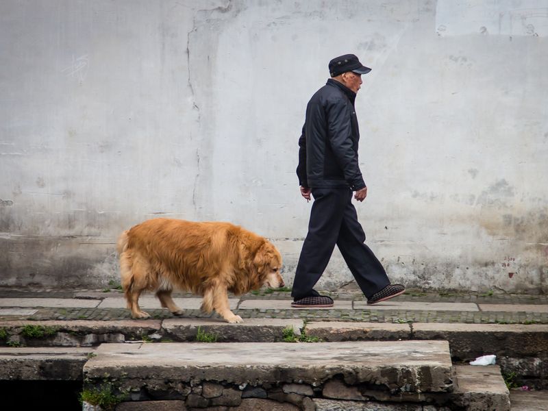 Old man and his dog | Smithsonian Photo Contest | Smithsonian Magazine