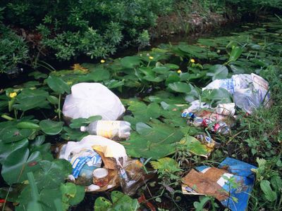 Litter and garbage dumped in wetland area among water lilies and marsh plants