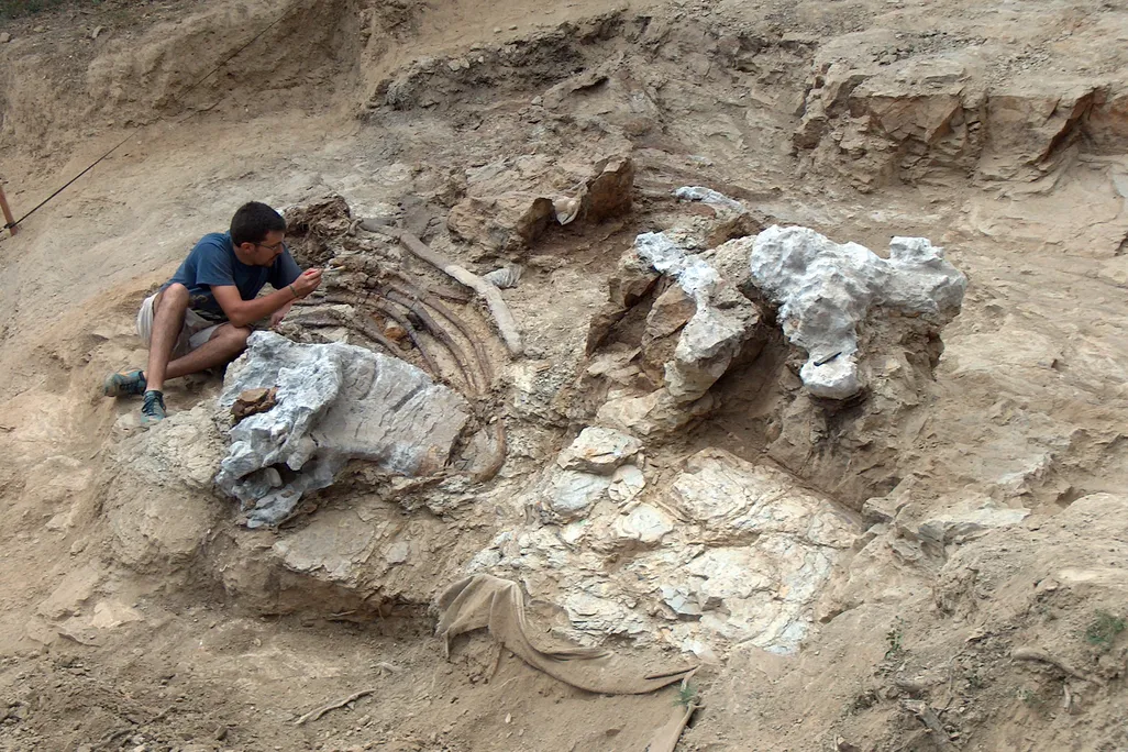 Paleontologists working at dig site