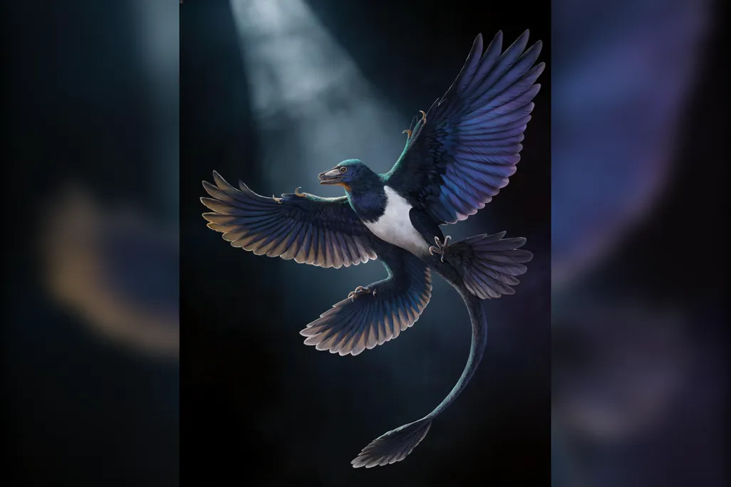 illustration of a four-winged dinosaur with a long tail