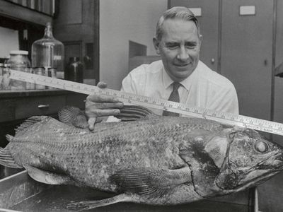Loren P. Woods, curator of fish at the Field Museum of Natural History in Chicago in 1968. But could he handle a horse?
