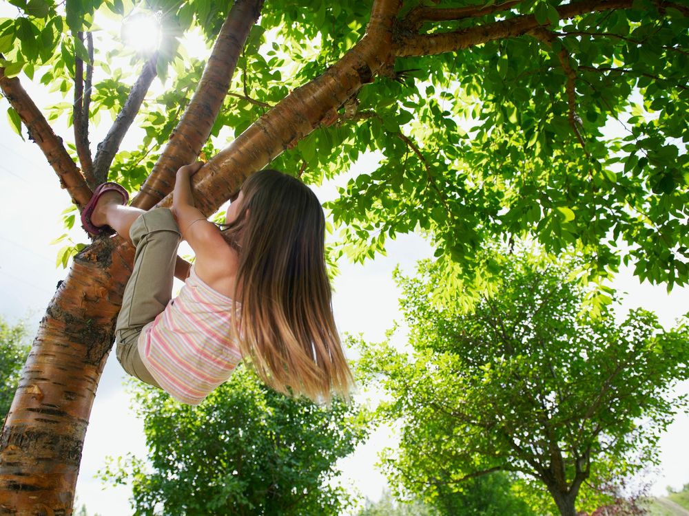 Girl Climbing Tree