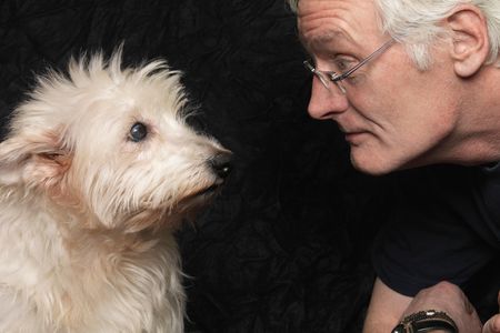 Our furry friends might be able to infer our mood based on our facial expressions - just like human buddies do. 