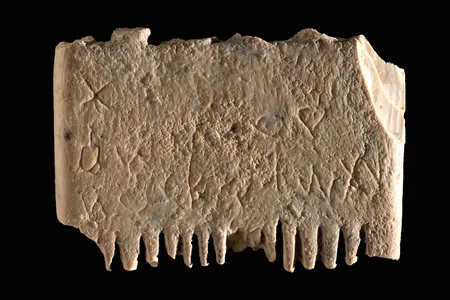 The comb found by archaeologists in 2016