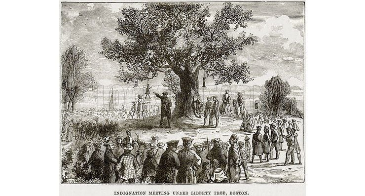Liberty Tree