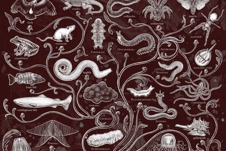 Smithsonian Voices Header.jpg