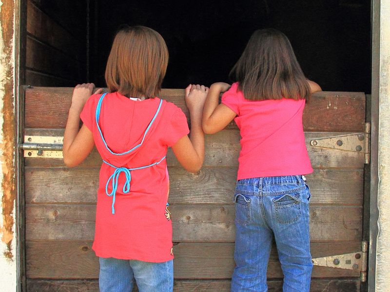My Two Daughters At A Horse Stable Looking In One Of The