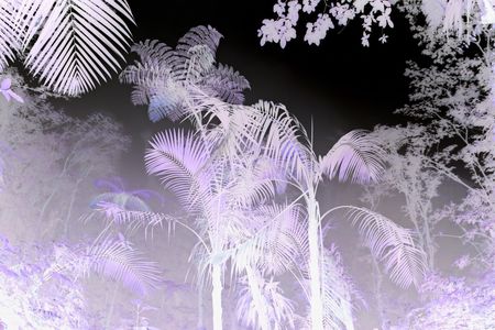 Even if dark matter life exists, we may never be able to see the forest or the trees.