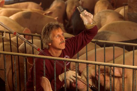 A microbiologist collects a manure sample