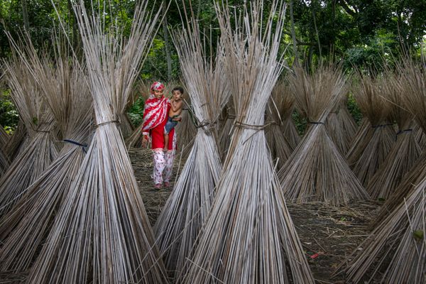 Returning home through the mango orchard road with my sister and brother. thumbnail