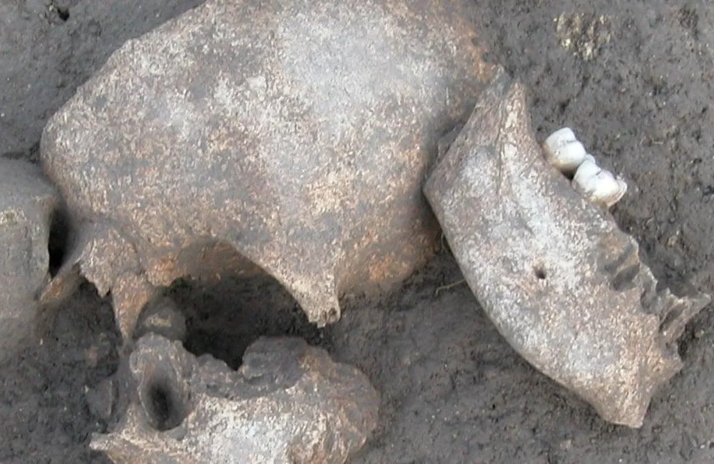 Gaul Severed Head