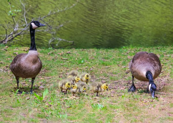 Family visit thumbnail