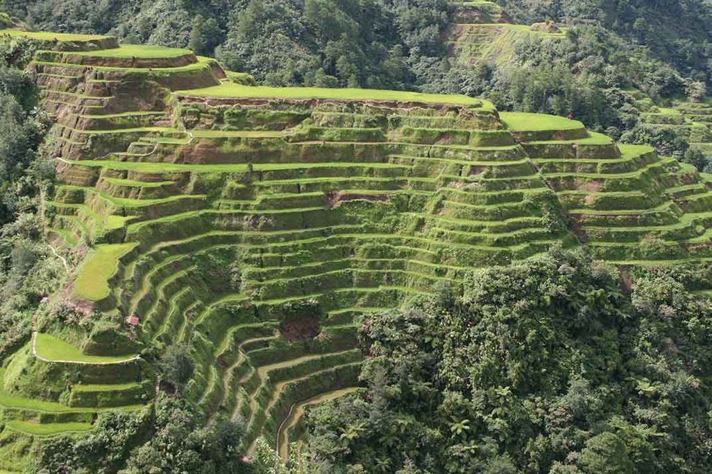 BanaueterraceWEB.jpg