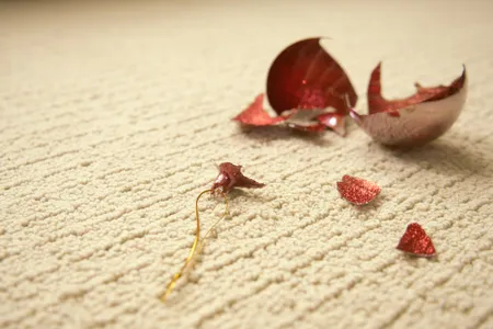 One of the hapless burglars in "Home Alone" unwittingly stepped on Christmas ornaments placed by Kevin
