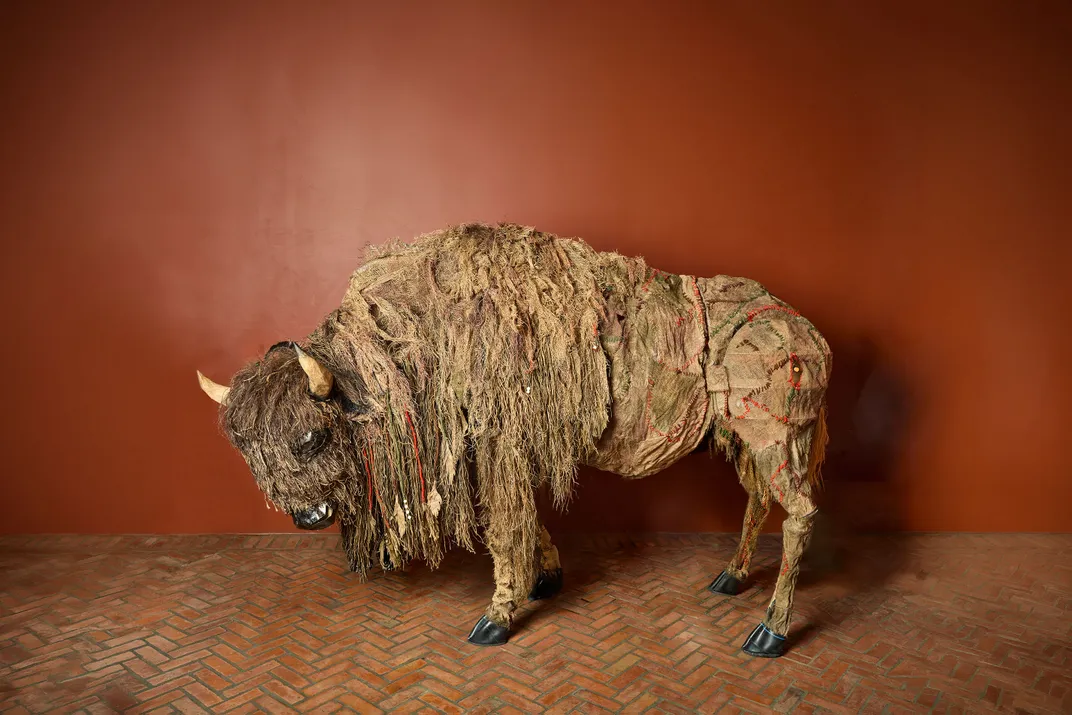 Bison Portrait