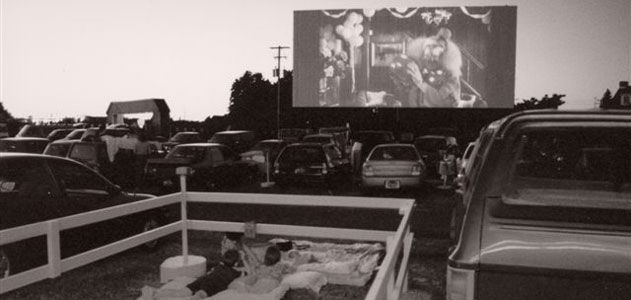 drive-in theatre de shankweiler