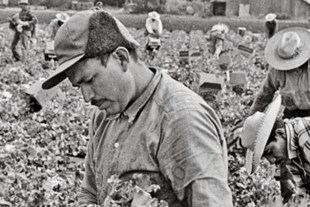 "Bittersweet Harvest," a Smithsonian exhibit about braceros (California, 1956), fits neatly into the new strategy.