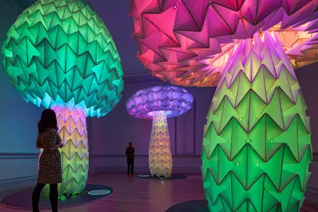 Shrumen Lumen by FoldHaus, 2018