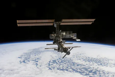The mice spent about a month aboard the International Space Station.