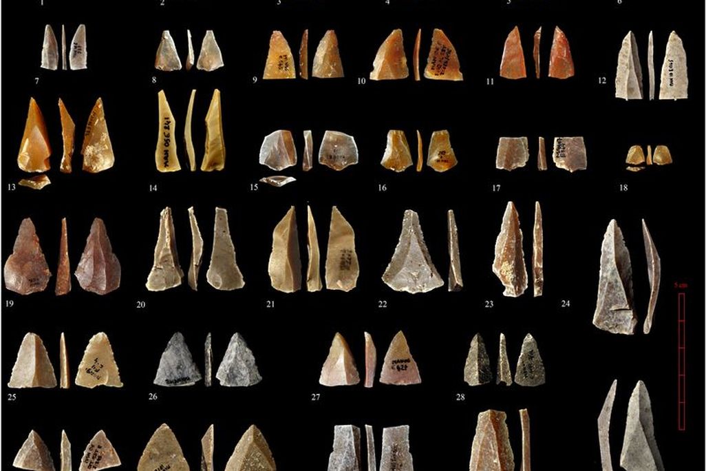 Stone Tools
