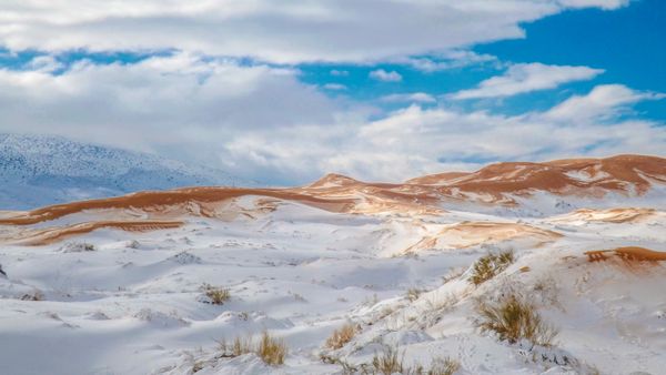 snow in sahara thumbnail