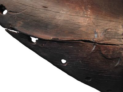 Part of a 600-year-old canoe was found in New Zealand, featuring this rare carving of a sea turtle.